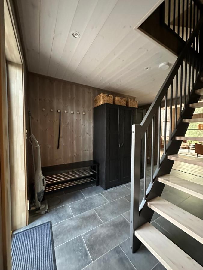 Modern Northern Lights Cabin Drangedal Buitenkant foto