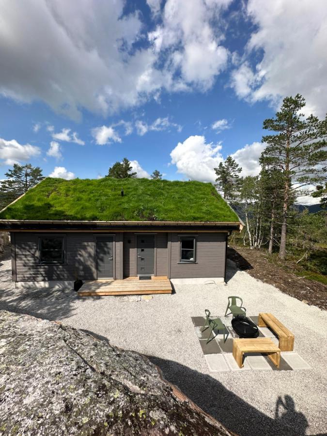 Modern Northern Lights Cabin Drangedal Buitenkant foto