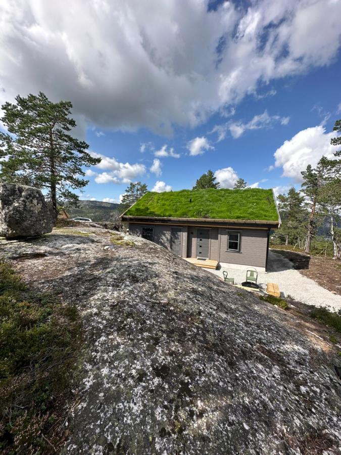 Modern Northern Lights Cabin Drangedal Buitenkant foto