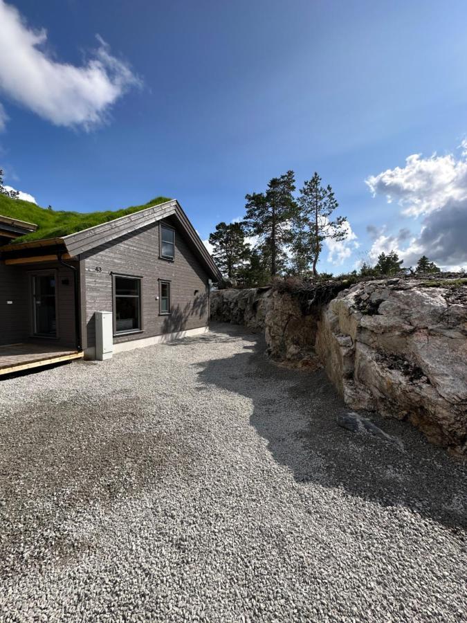 Modern Northern Lights Cabin Drangedal Buitenkant foto