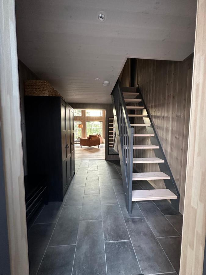 Modern Northern Lights Cabin Drangedal Buitenkant foto