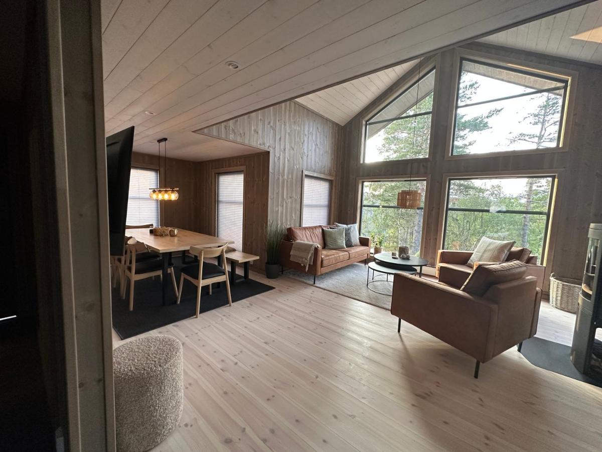 Modern Northern Lights Cabin Drangedal Buitenkant foto