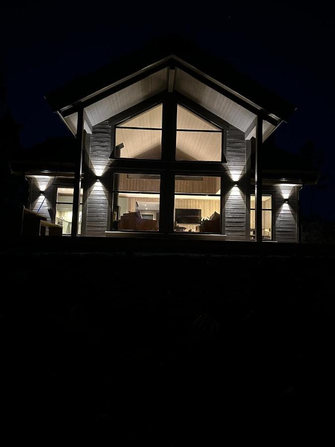 Modern Northern Lights Cabin Drangedal Buitenkant foto