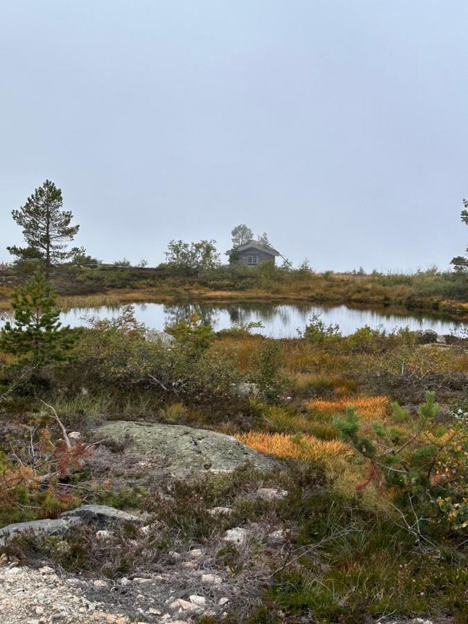 Modern Northern Lights Cabin Drangedal Buitenkant foto
