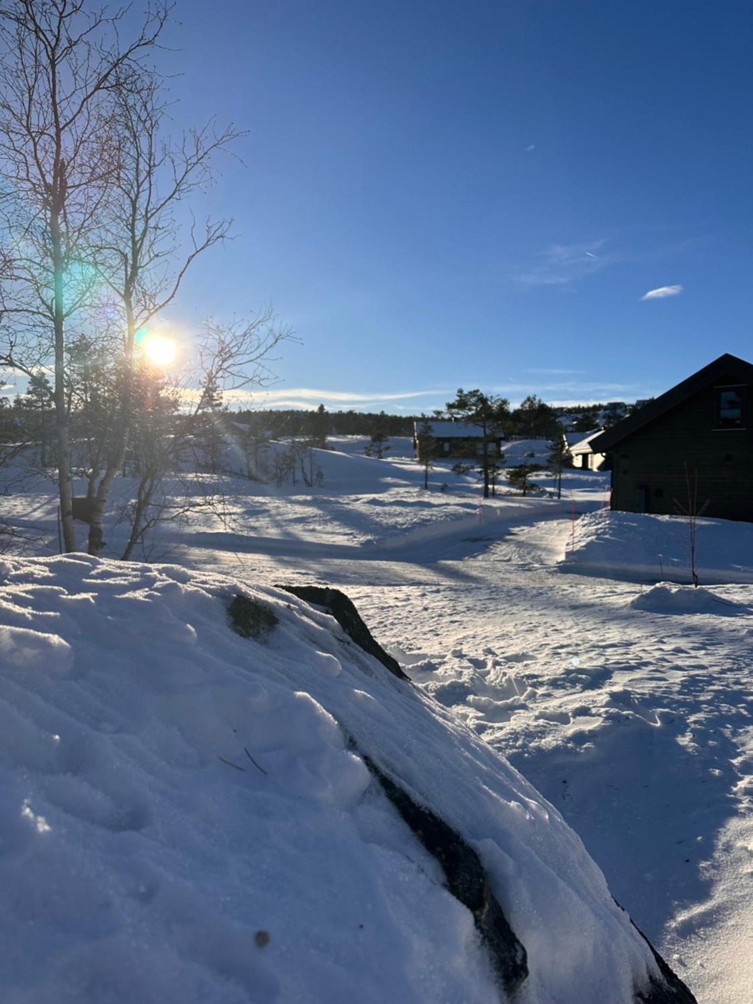 Modern Northern Lights Cabin Drangedal Buitenkant foto