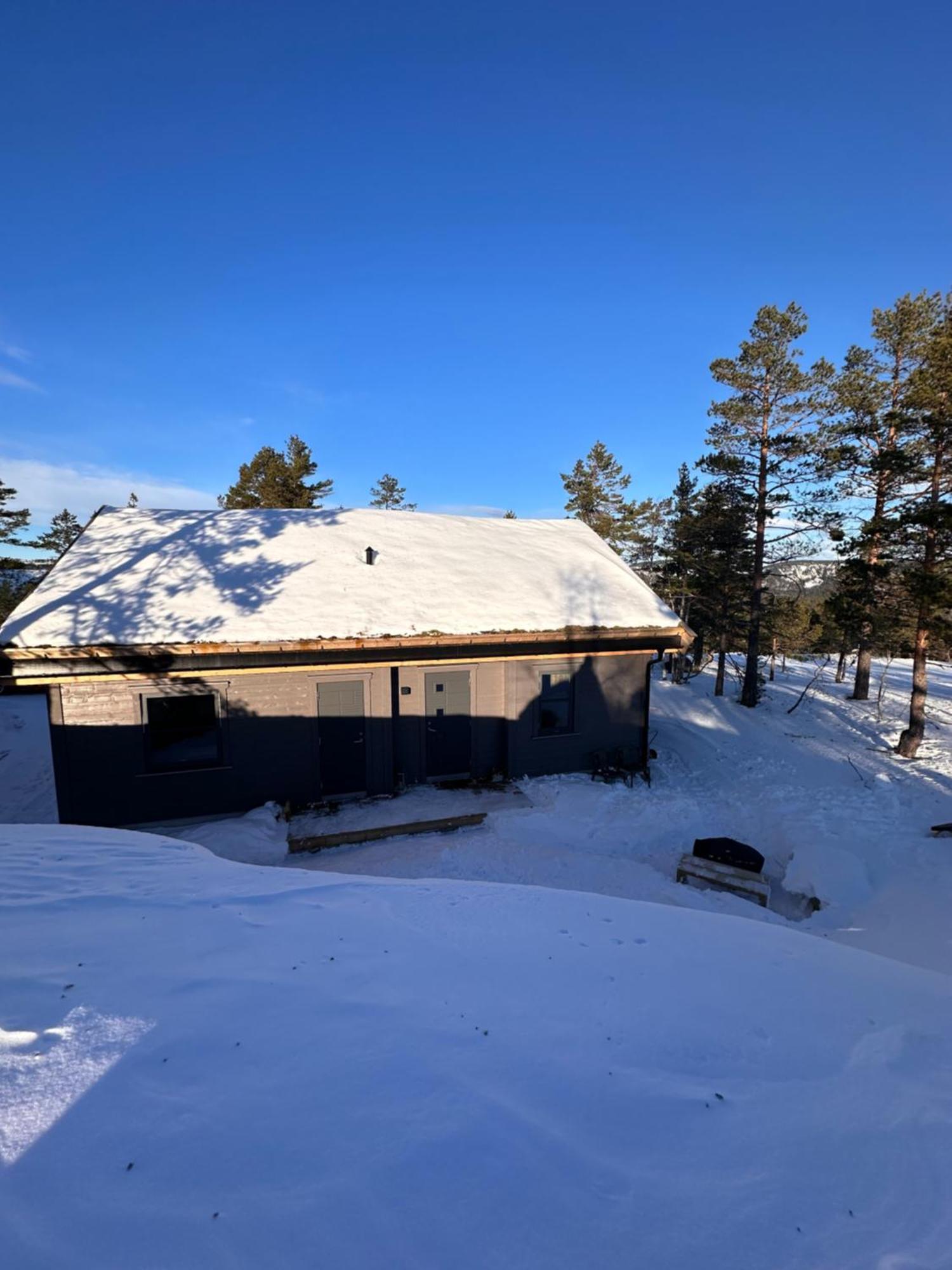 Modern Northern Lights Cabin Drangedal Buitenkant foto