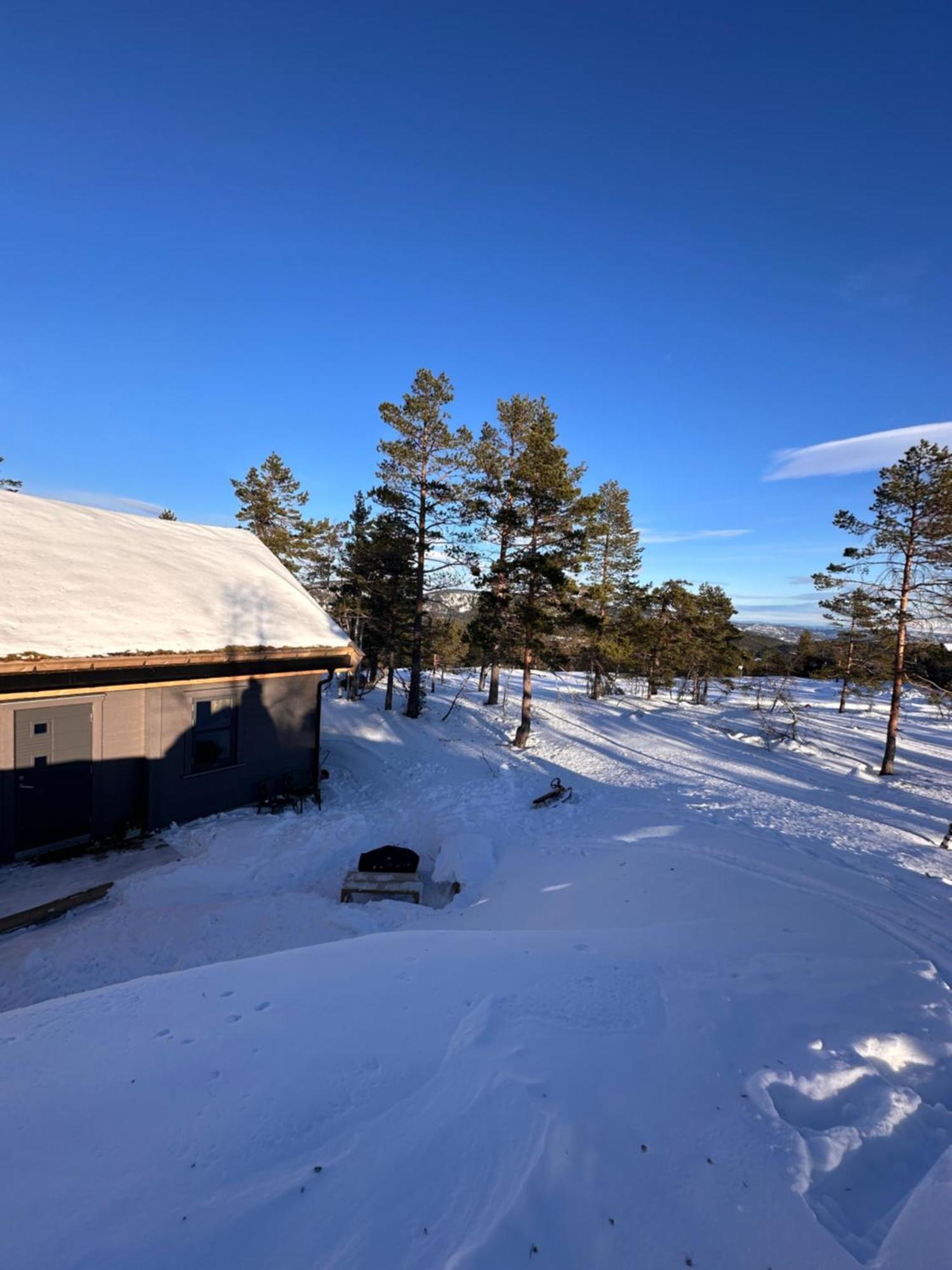 Modern Northern Lights Cabin Drangedal Buitenkant foto