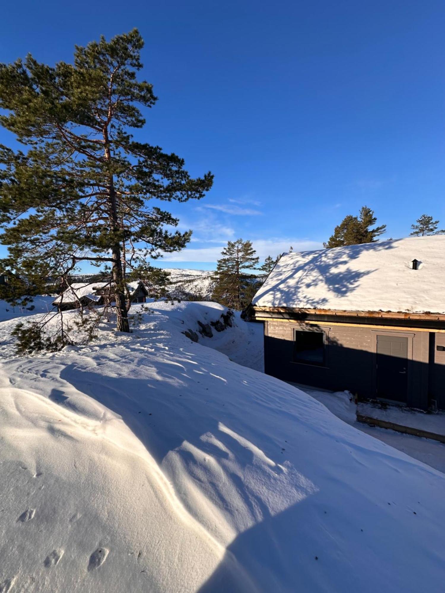 Modern Northern Lights Cabin Drangedal Buitenkant foto