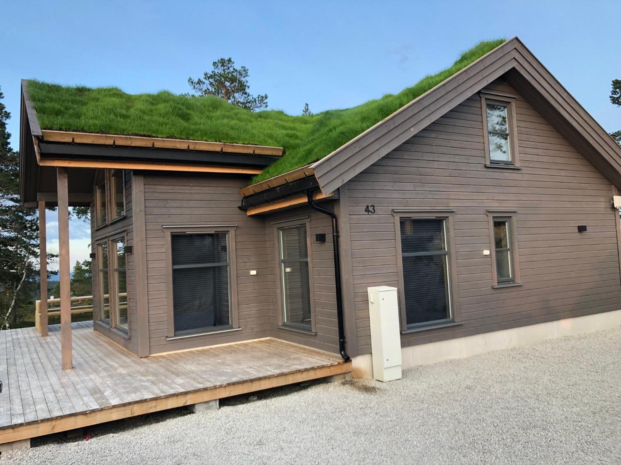 Modern Northern Lights Cabin Drangedal Buitenkant foto