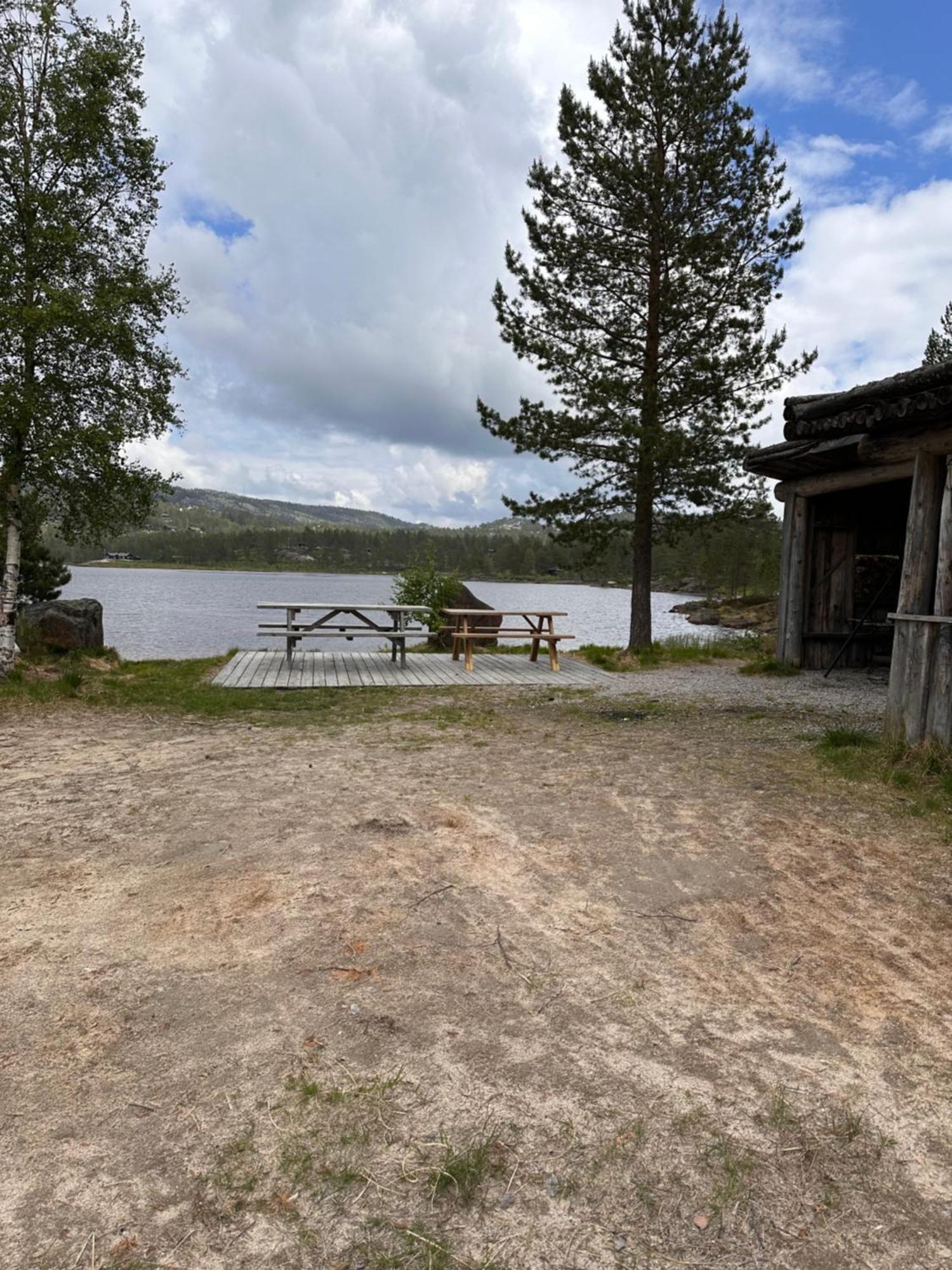 Modern Northern Lights Cabin Drangedal Buitenkant foto