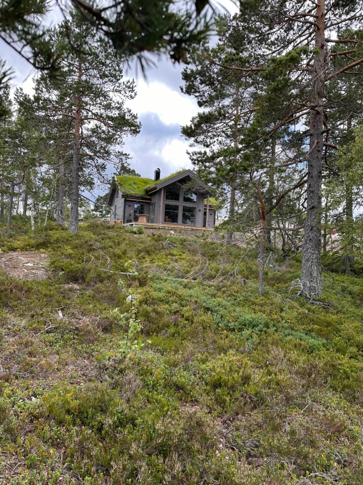 Modern Northern Lights Cabin Drangedal Buitenkant foto