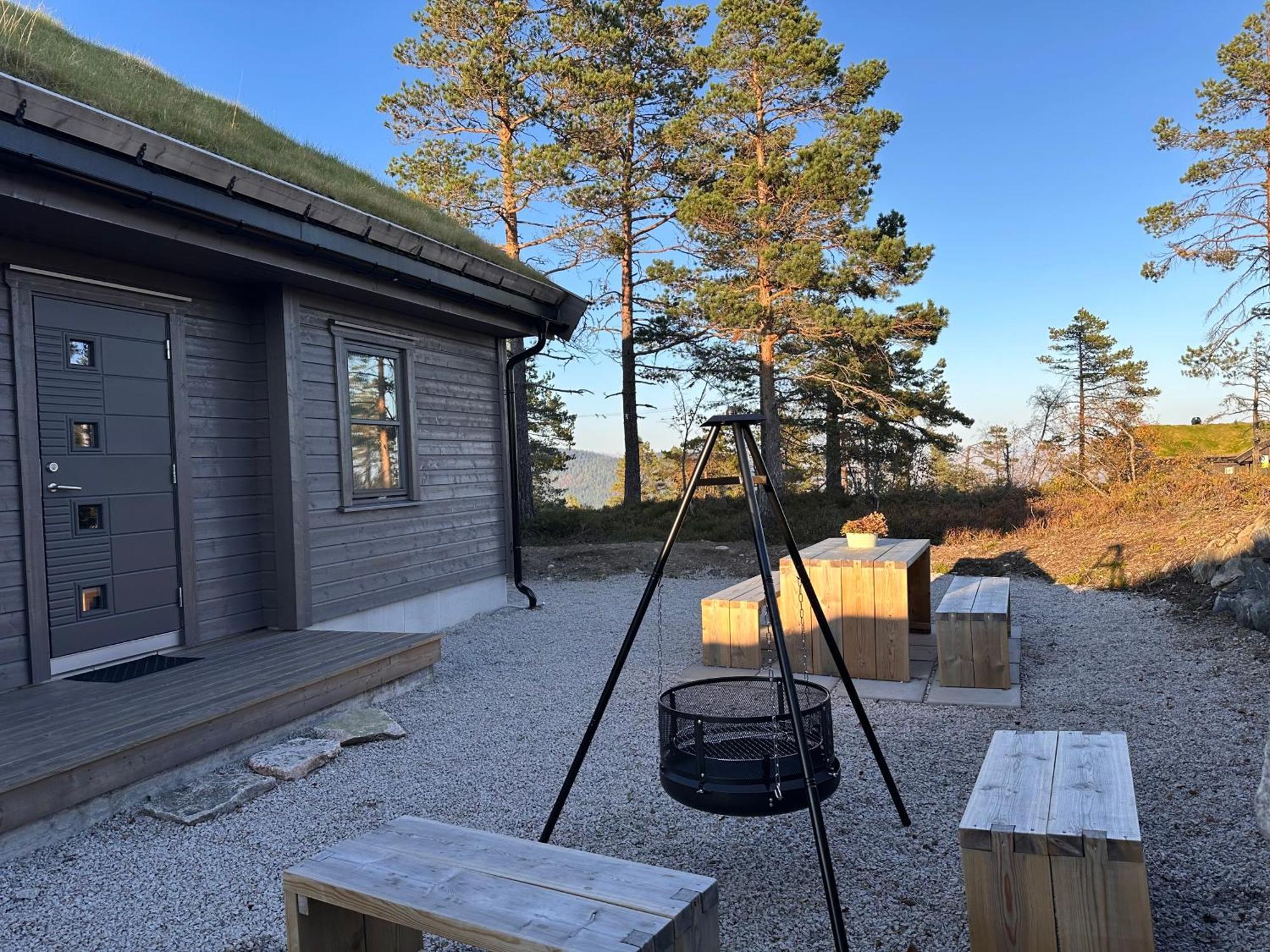 Modern Northern Lights Cabin Drangedal Buitenkant foto