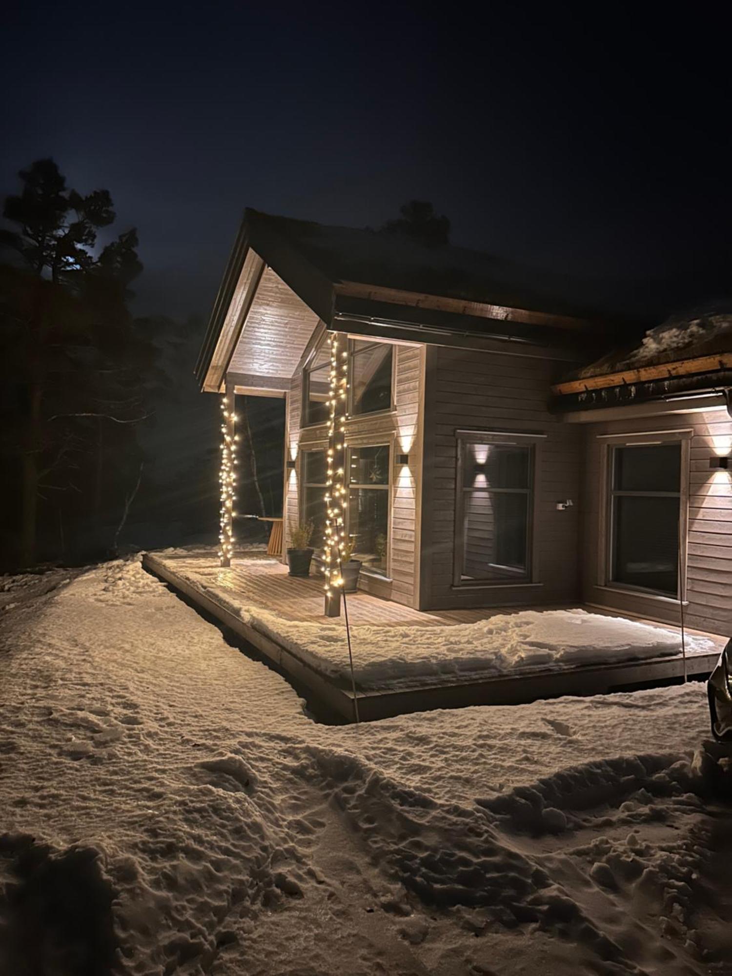 Modern Northern Lights Cabin Drangedal Buitenkant foto