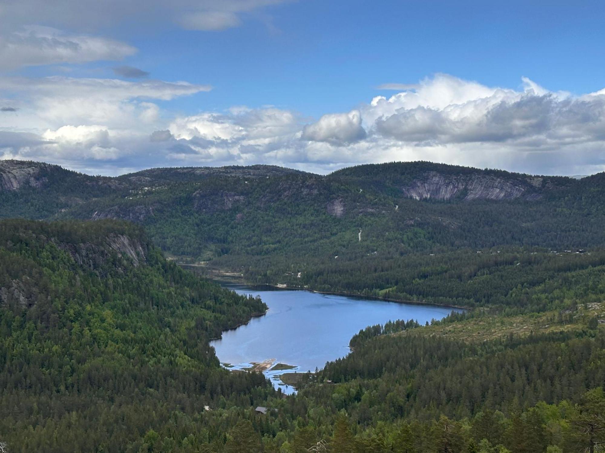 Modern Northern Lights Cabin Drangedal Buitenkant foto